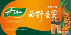 尤玉红  原野沙棘西野圣果 健康的首选